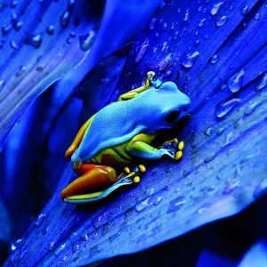01_mwdbeauty_01