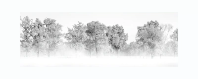 wittorfernebel_01