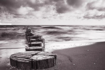 Zingst