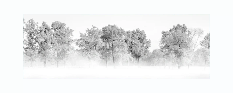 wittorfernebel_01