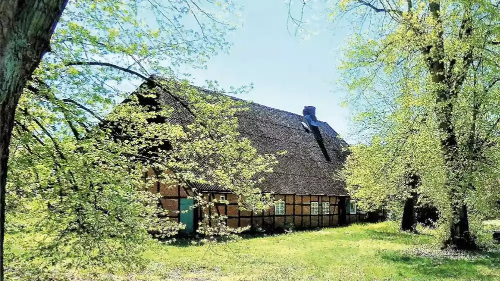 Der Gutshof von weit weg fotografiert. Das Haus steht zwischen Bäumen. Das Bild ist mit einem Farbfilm überlagert.