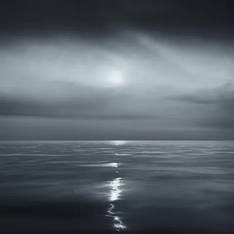 Weststrand Zingst - Künstler: Jörg Bode